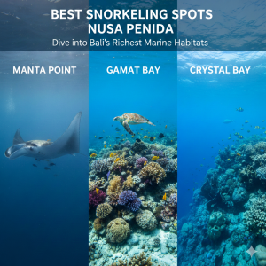 best snorkeling spots Nusa Penida